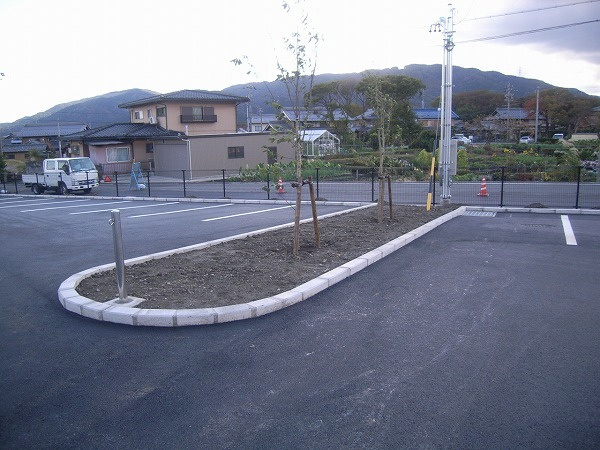 rimg7515.jpg