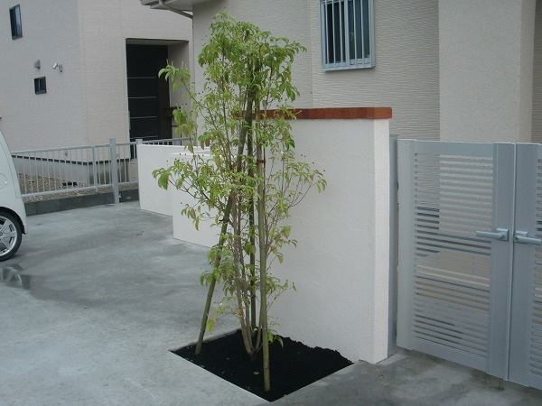 img20210318113121285569.jpg